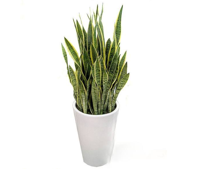 1559717714482367.png image.png