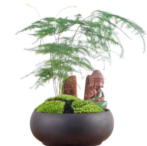 1559719582421478.png image.png